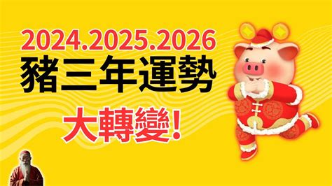 2023屬豬運勢|2023年12生肖運勢大全——生肖豬